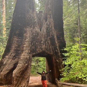 Meet your Posher, Stephanie